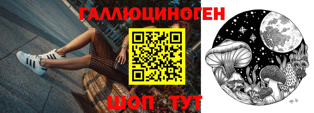 Галлюциногенные грибы мухоморы Отрадное