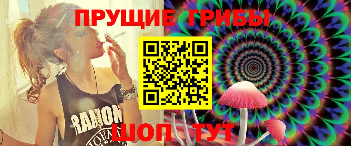 Галлюциногенные грибы GOLDEN TEACHER  Вход с VPN  Отрадное 